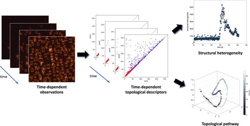 The structure of topological characteristics of soft matter systems.