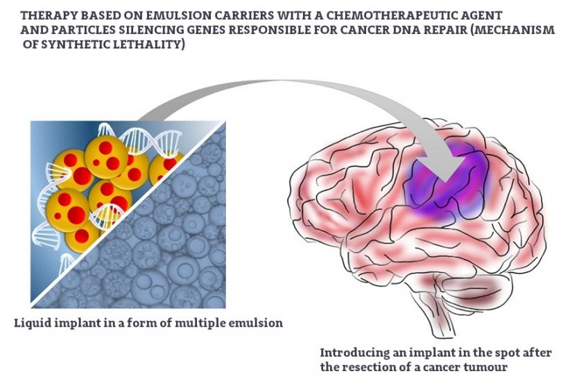 Therapy based on emulsion carriers with a chemotherapeutic agent and particles silencing genes responsible for cancer DNA repair (mechanism of synthetic lethality).